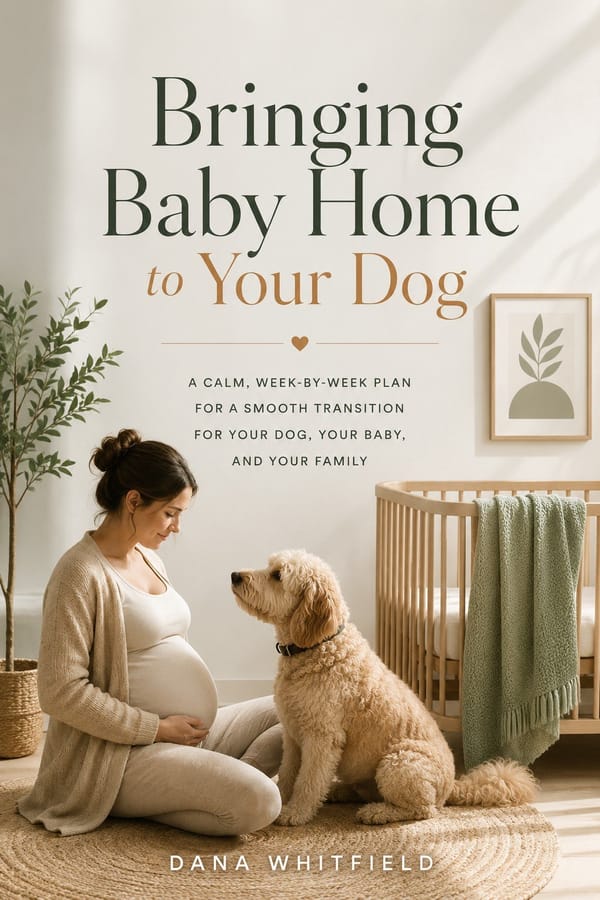 Bringing Baby Home to Your Dog